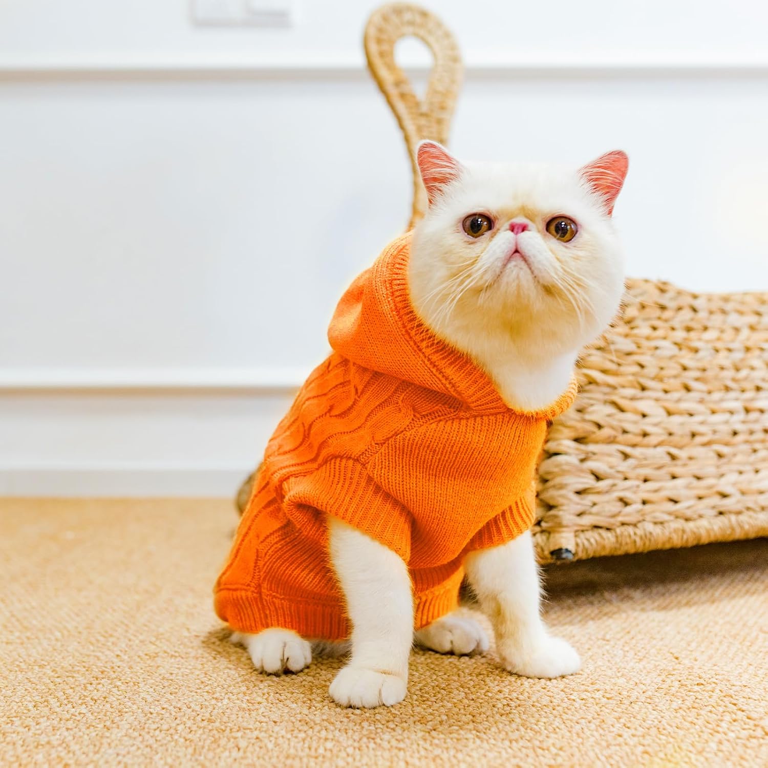 PUPTECK Winter Dog Cat Sweater Coat - Soft Cold Weather Clothes Knitwear for Kitties &amp; Small Dogs Indoor Outdoor Walking Warm, Knitted Classic for Doggies Kitties Girls Boys, Orange M