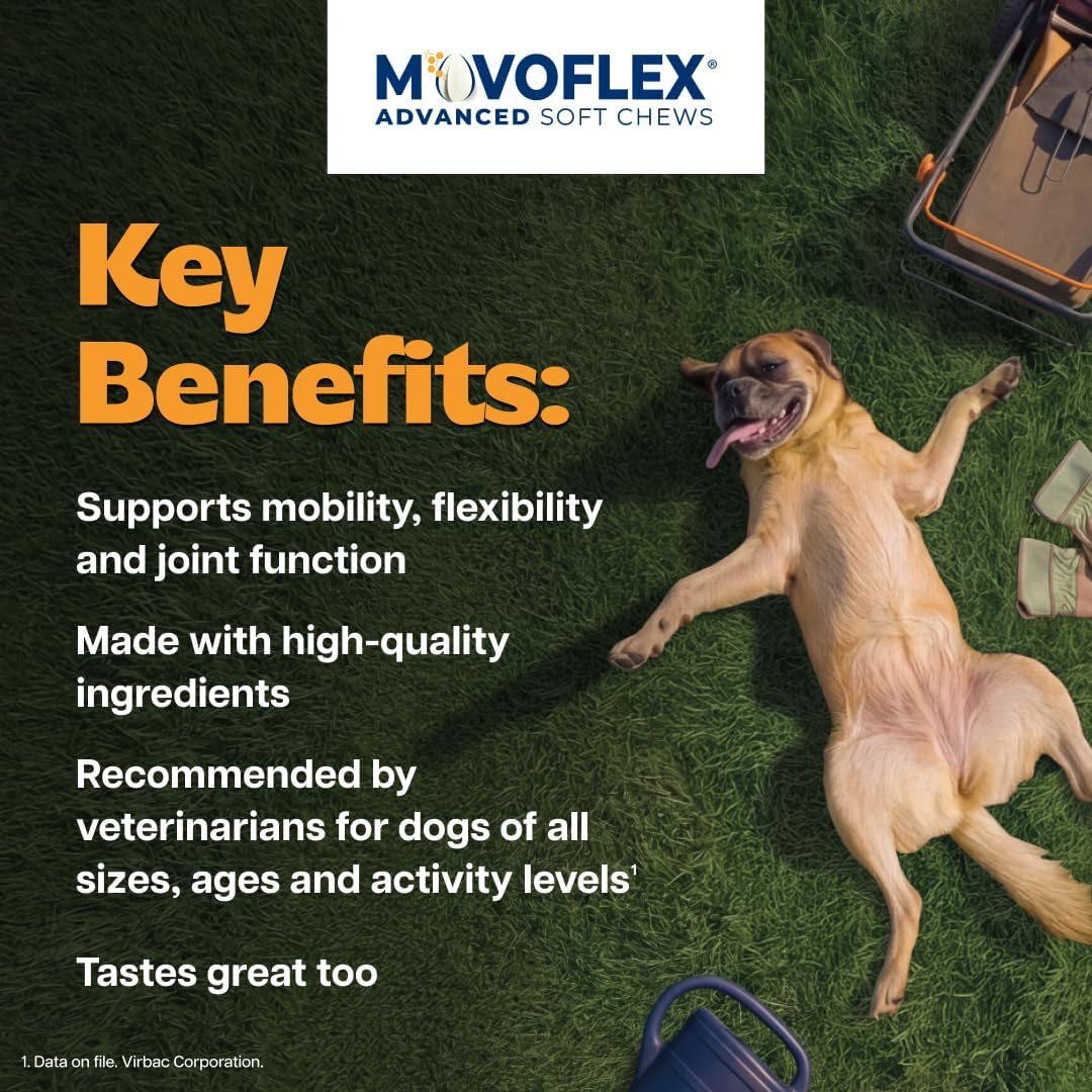 MOVOFLEX Advanced Soft Chews Hip and Joint Support Supplement for Medium Dogs - 60 Count by Virbac