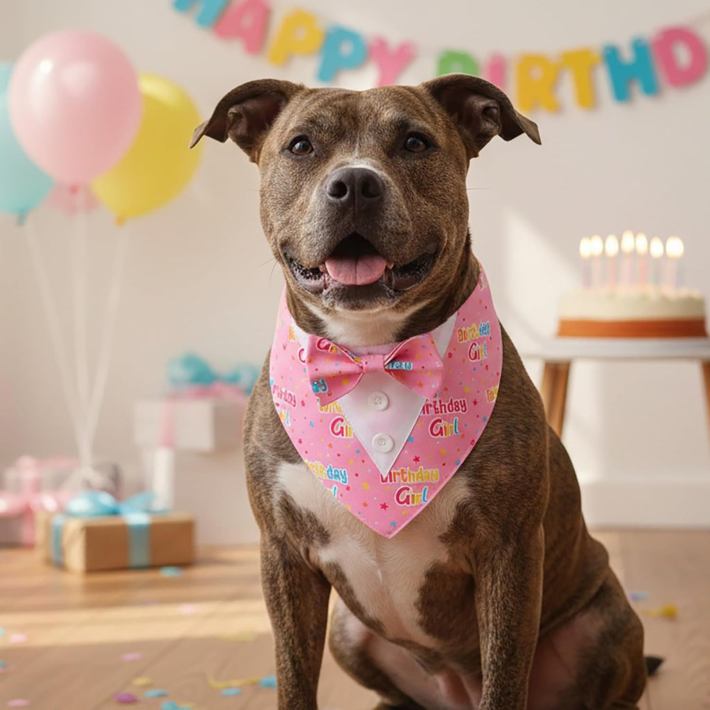 ADOGGYGO Birthday Dog Bandana with Bowtie, Pink Girl Dog Tuxedo, Large