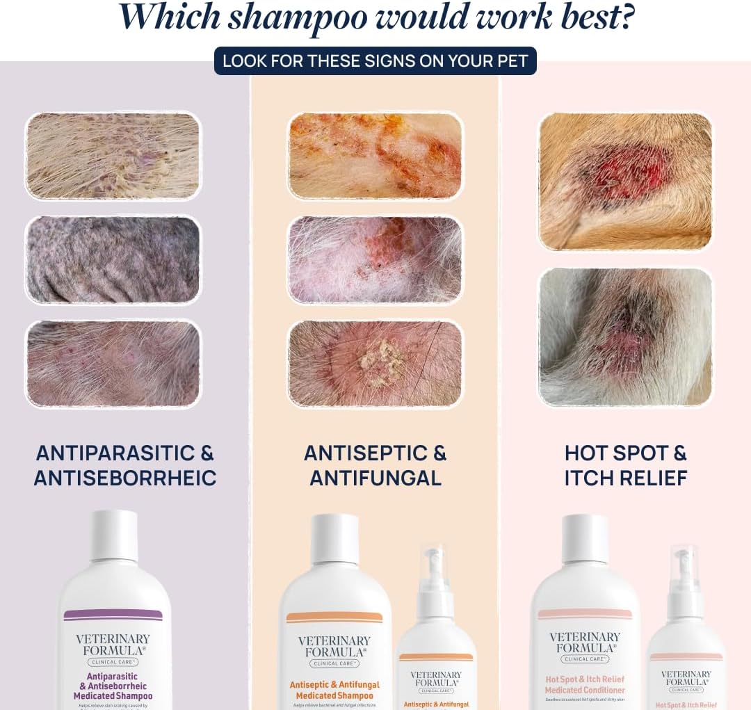 Veterinary Formula Clinical Care Antiseptic & Antifungal Shampoo + Spray