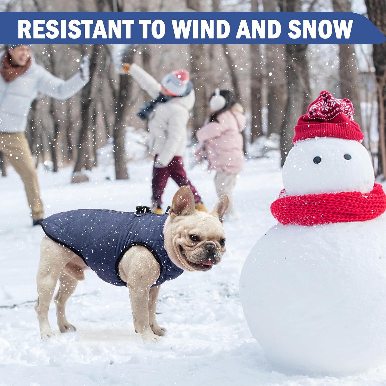 SCENEREAL Winter Dog Vest Coat with Built-in Harness