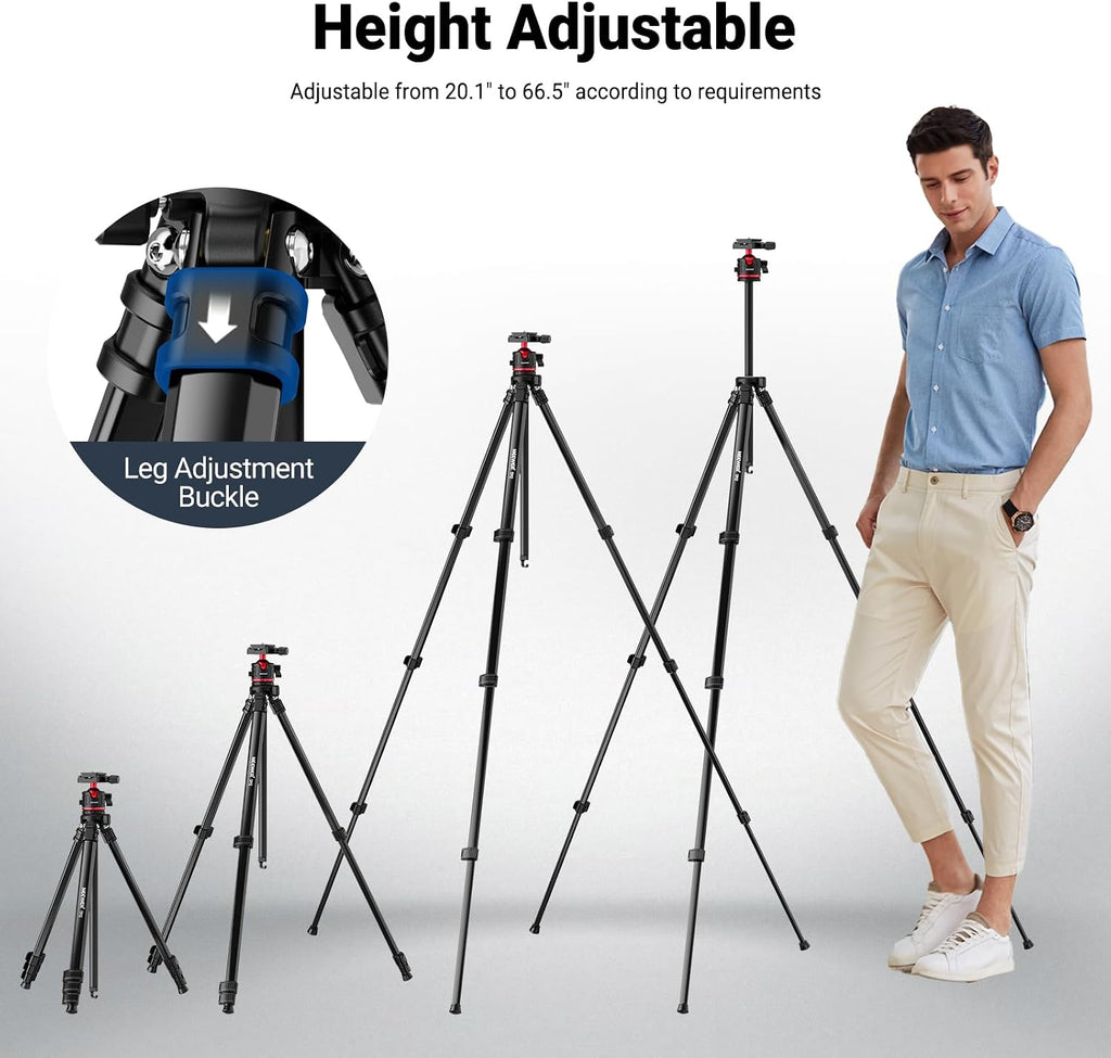 NEEWER Basics 66.5"/169 cm Travel Tripod for Camera, Lightweight Portable DSLR Stand with Ball Head, Arca Type QR Plate, Cell Phone Holder Compatible with iPhone Video Recording, Max Load 11 lb, TP12