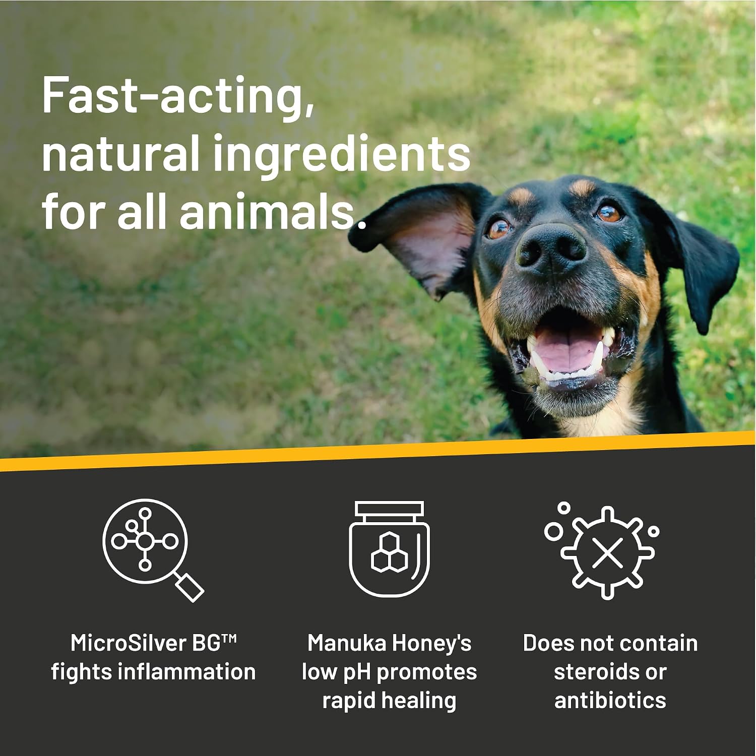 Absorbine Silver Honey Rapid Ear Care Vet Strength Ear Rinse, 4oz, Manuka Honey &amp; MicroSilver BG, Safe for Dogs &amp; Cats