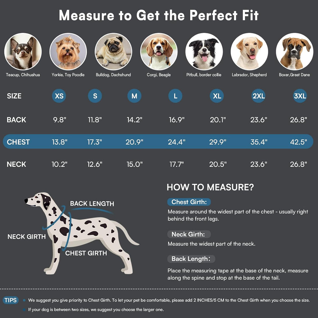Queenmore Small Dog Coat, Dog Coat for Small Dogs with Harness Built in