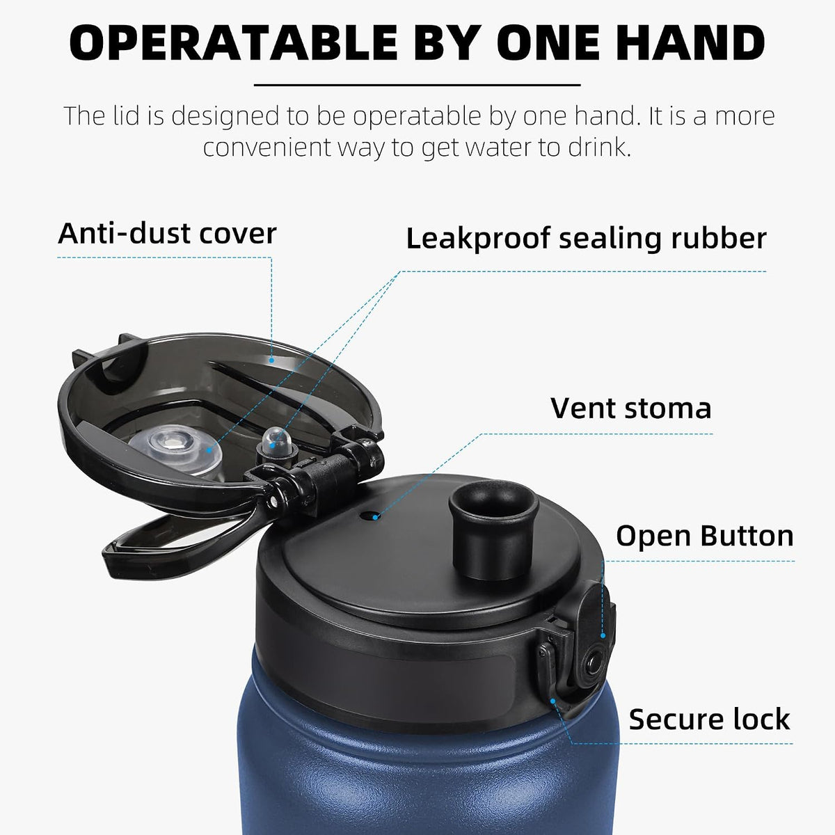 Fanhaw 20oz Insulated Water Bottle with Anti-dust Chug Lid, Navy Blue