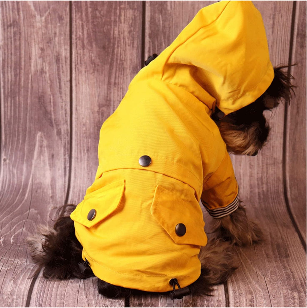 Skateboard Frog Dog Raincoat Jacket Zip up Yellow Hoodie Water Resistant
