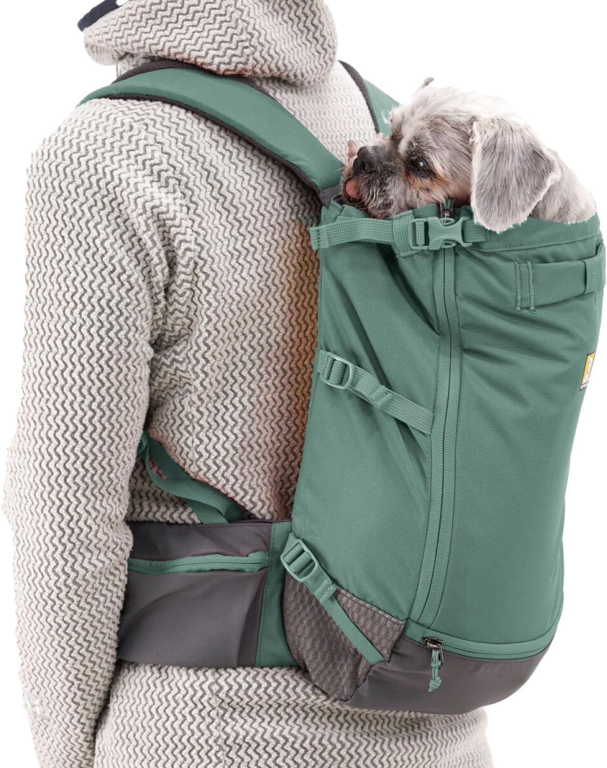 Ruffwear, Hitch Hiker Dog Backpack Carrier, River Rock Green, Small