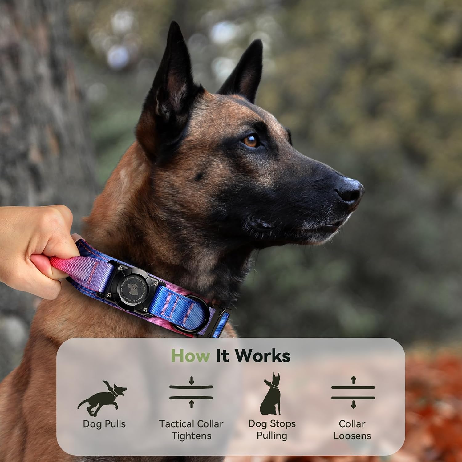 2026 Upgrade Waterproof Tactical AirTag Dog Collar, Built in AirTag Holder