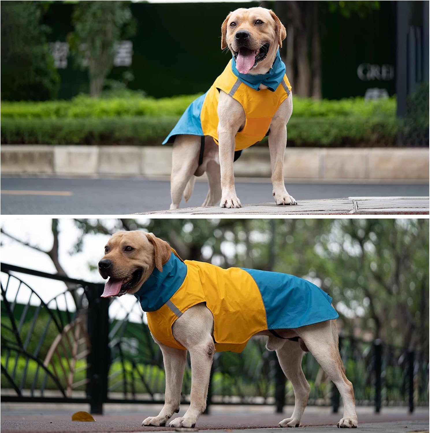 Dog Warm Coats - Windproof Dog Winter Outdoor Jackets Cold Weather Coats for Dog Waterproof Dog Raincoats with Hole for Dog Leash,BY XXXL Blue+Yellow