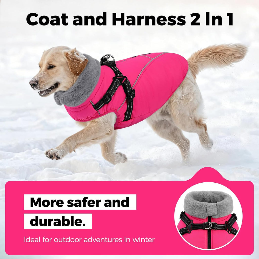 Queenmore Small Dog Coat, Dog Coat for Small Dogs with Harness Built in