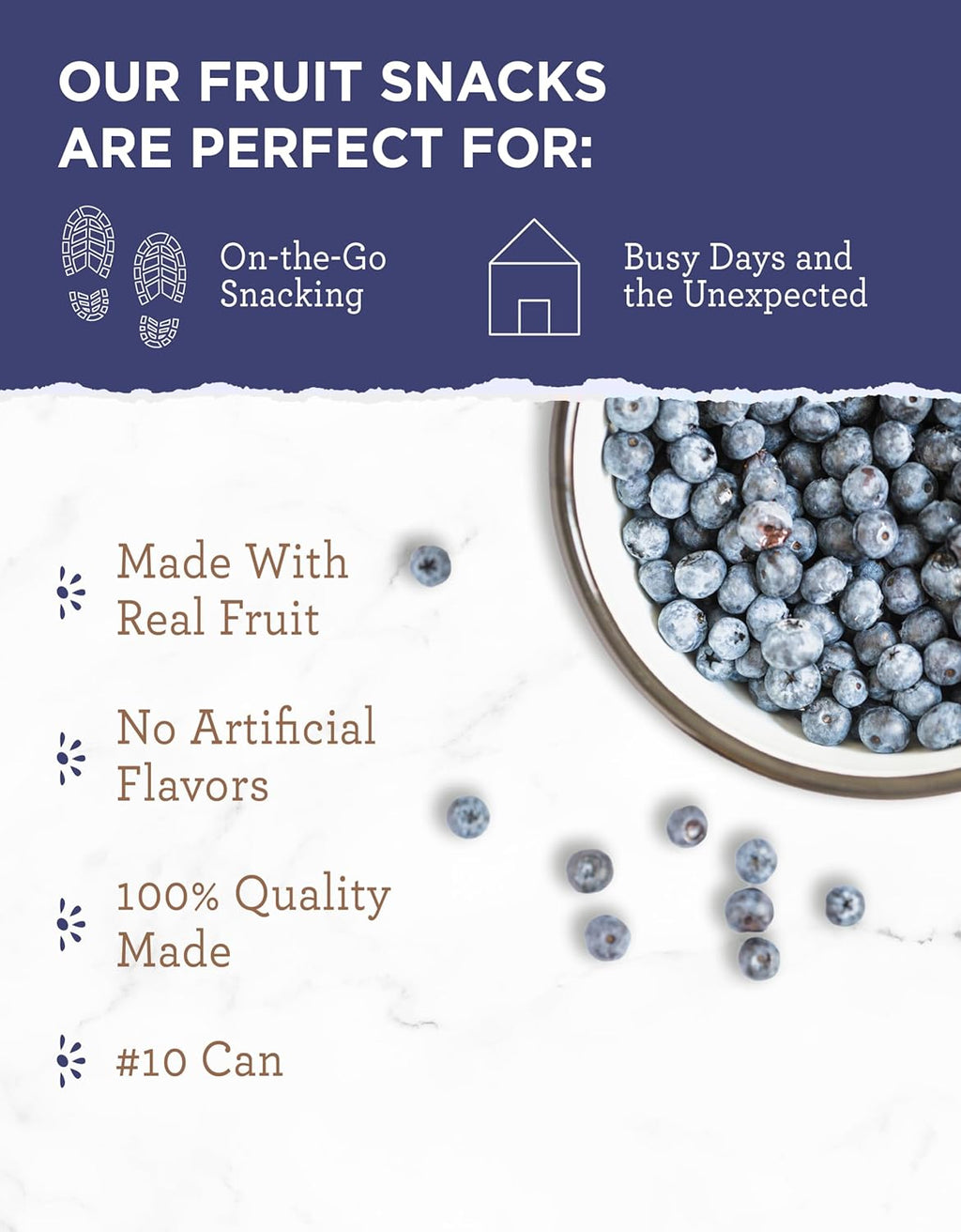 SIMPLE KITCHEN Camping and Outdoors, Freeze Dried Blueberries 28 Servings