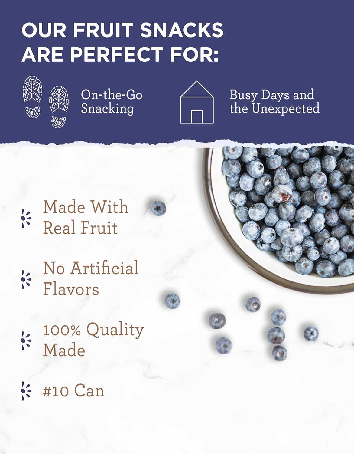 SIMPLE KITCHEN Camping and Outdoors, Freeze Dried Blueberries 28 Servings