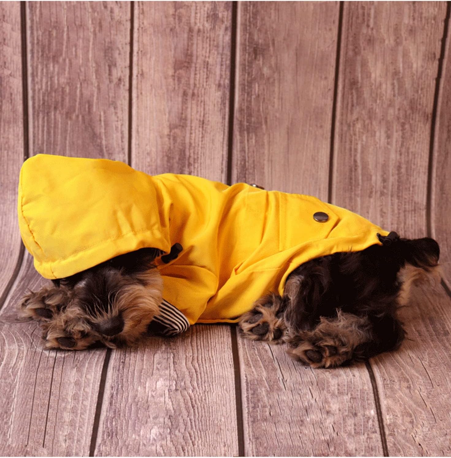 Skateboard Frog Dog Raincoat Jacket Zip up Yellow Hoodie Water Resistant