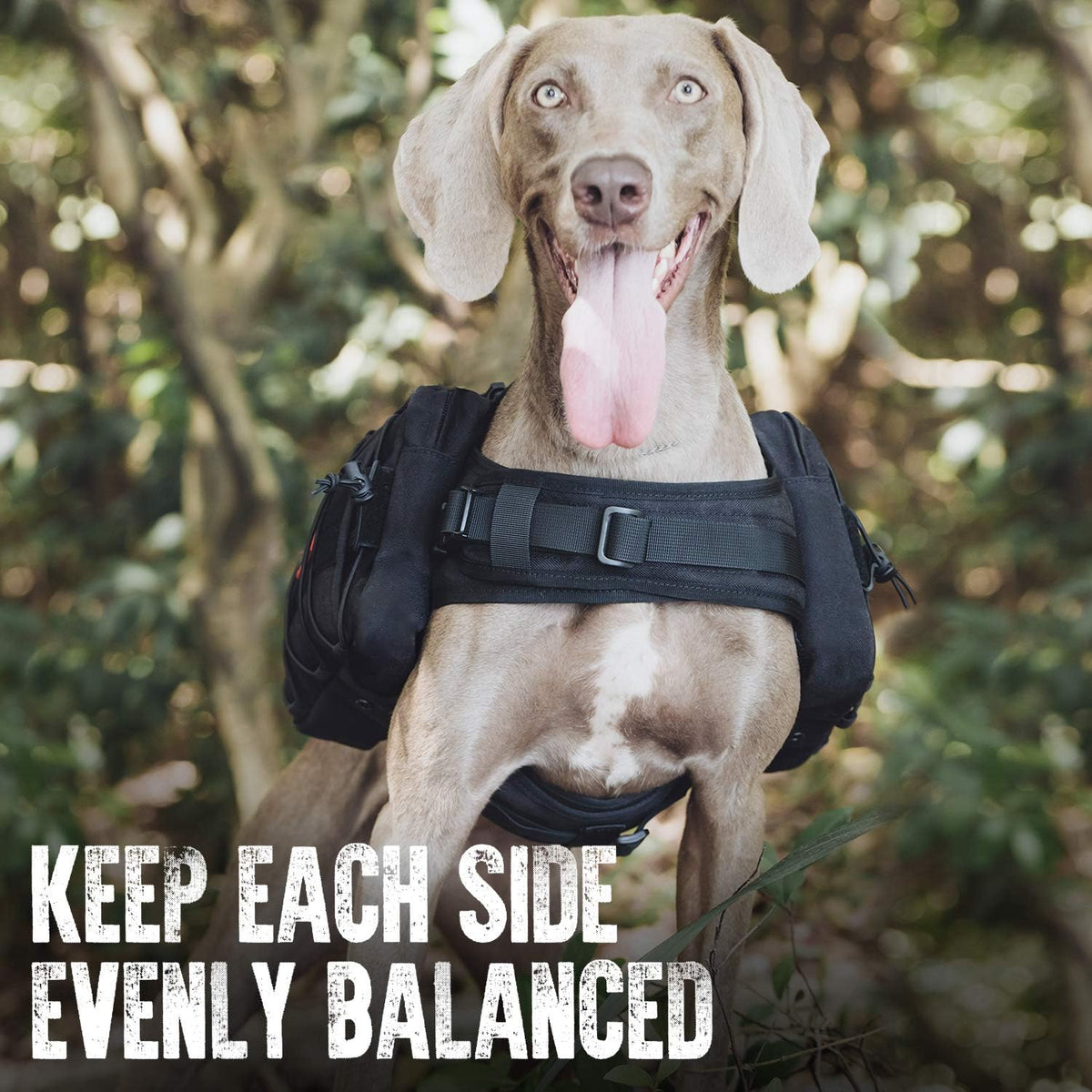 OneTigris Dog Backpack for Medium & Large Dogs, Nylon Backpack for Dogs Tactical Pet Backpack with Side Pockets for Hiking Walking Training Running (Black, Large)