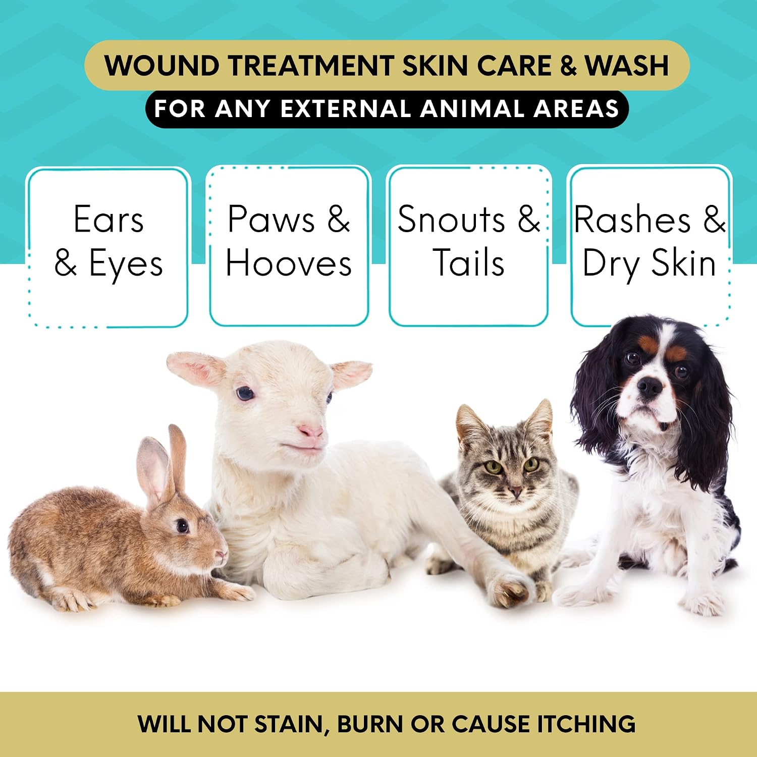 Curicyn Wound Care for Dogs, Cats & Livestock 8oz - All Natural, Fast Acting Wound Care for Pets, Safe Wound Care for Cats - Works on Varied Ailments, Easy Application Spray Bottle