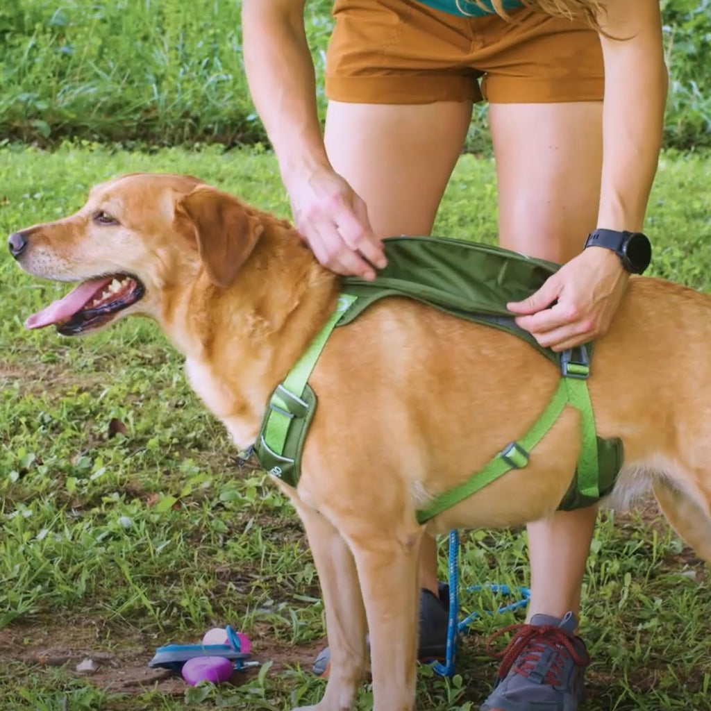 Kurgo Cascade Hiking Harness Backpack for Dogs, Orange, Extra Large