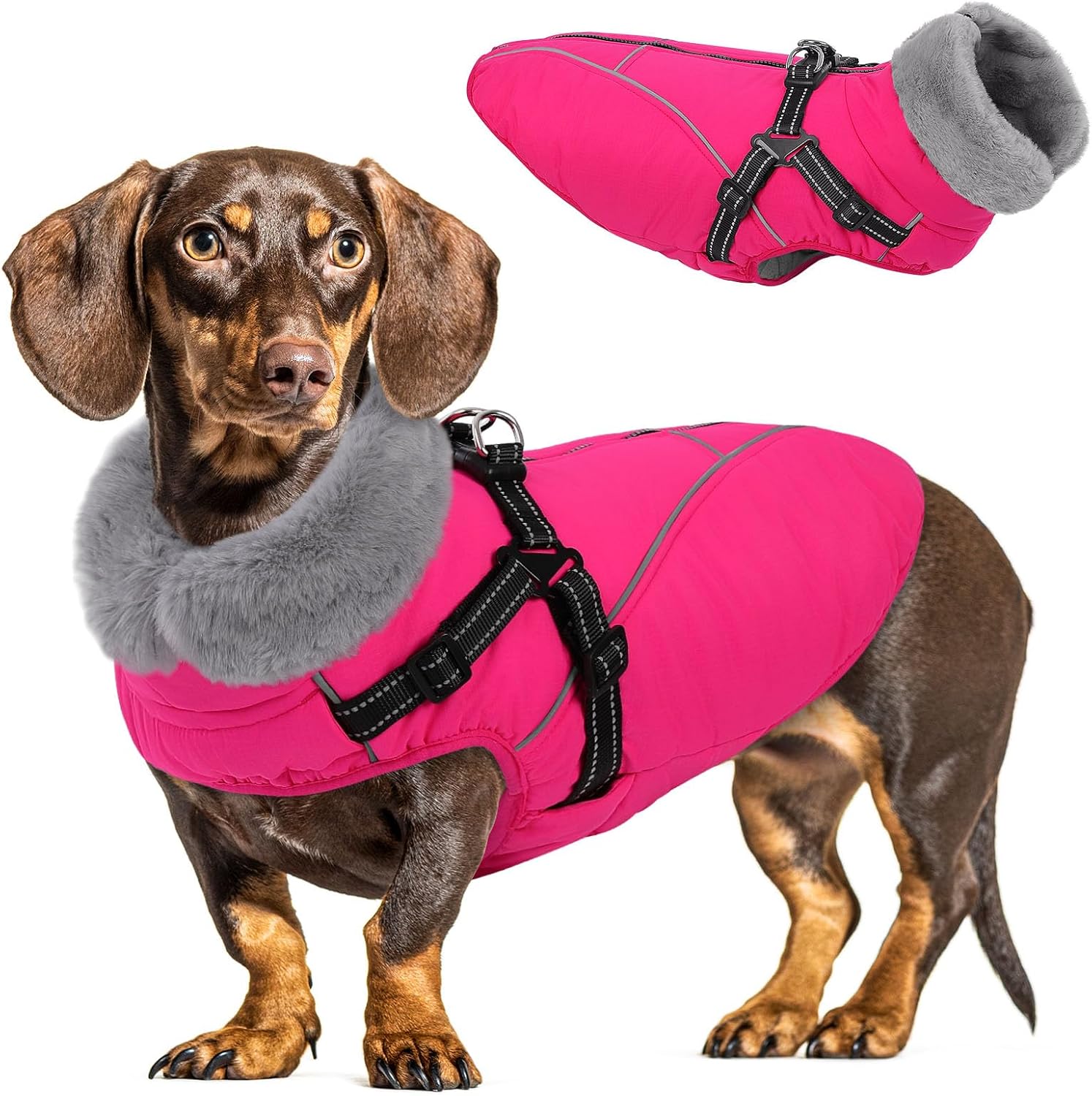 Queenmore Small Dog Coat, Dog Coat for Small Dogs with Harness Built in