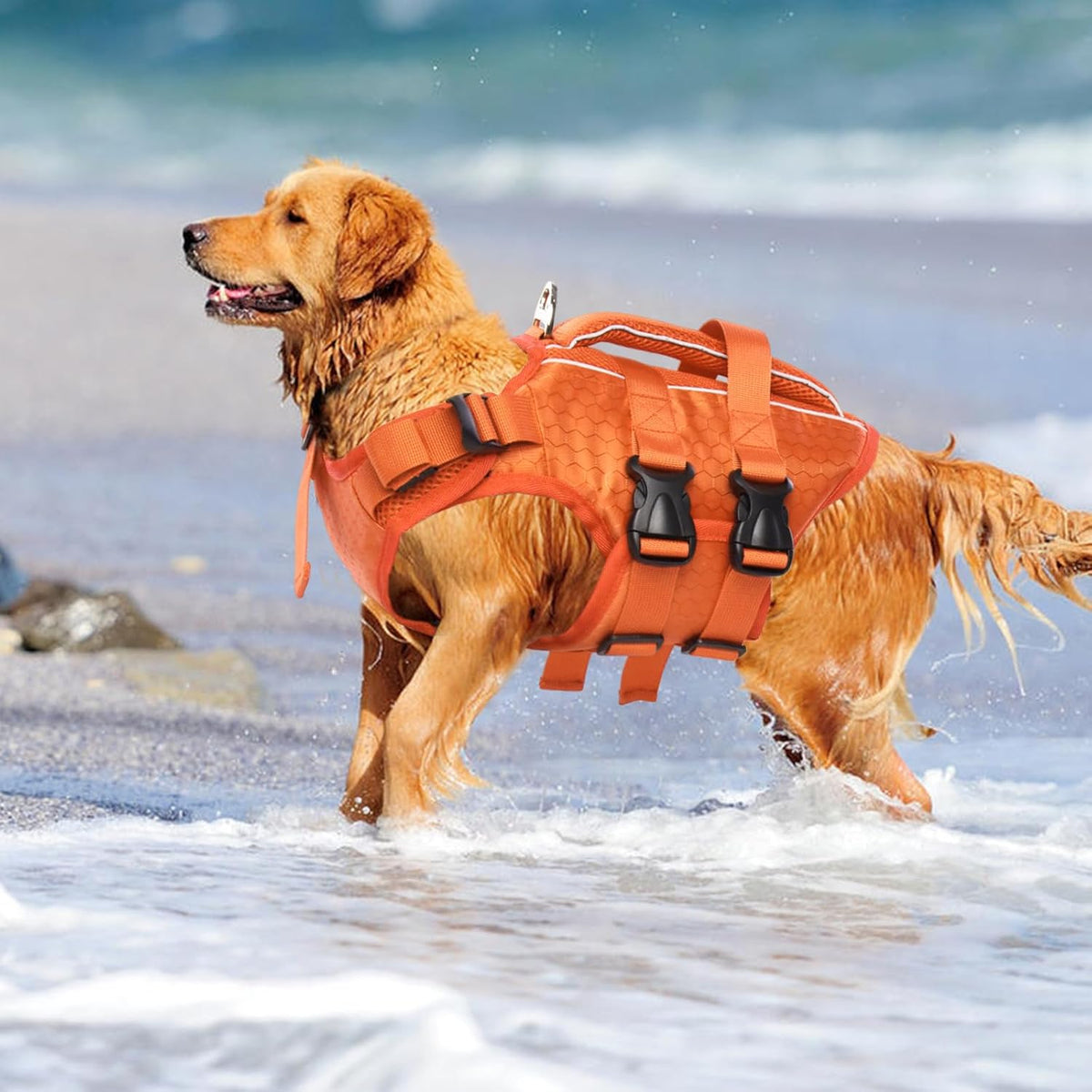 Kuoser Dog Life Jacket, High Flotation Reflective Dog Life Vest, Orange, XL