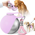 2 in 1 Dog Water Bottle with Bowl, 10oz Stainless Steel - Pink