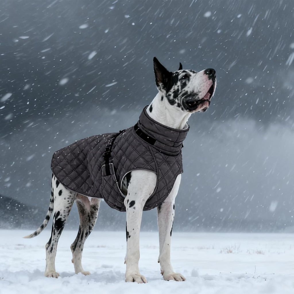 Kuoser Dog Coat Warm Fleece Lining Turtleneck Dog Jacket with Harness Built-in, Adjustable Windproof Cold Weather Coats with Quick Release Buckle Pet Winter Snowsuit for Medium Large Dogs, Grey L