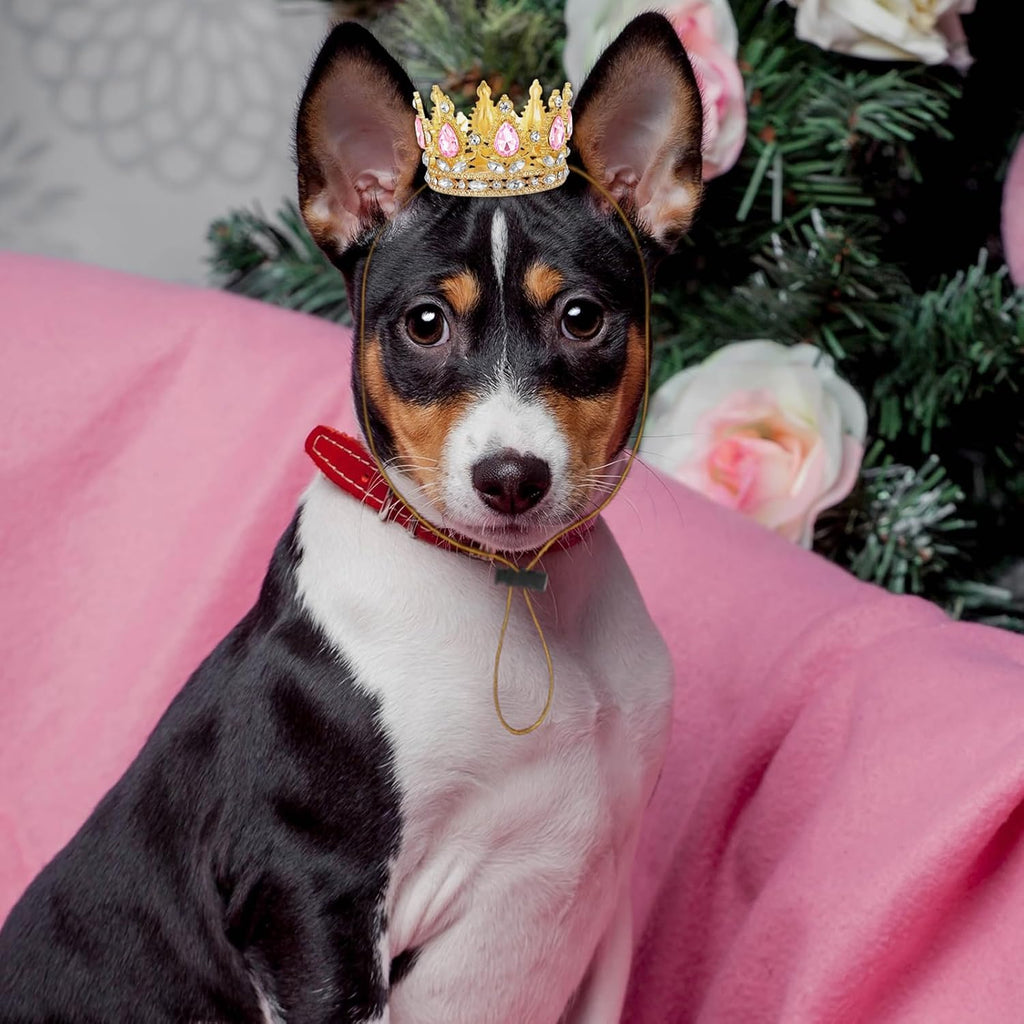 Abbylike Dog Birthday Crown Queen for Pet Costume,Pink,Small