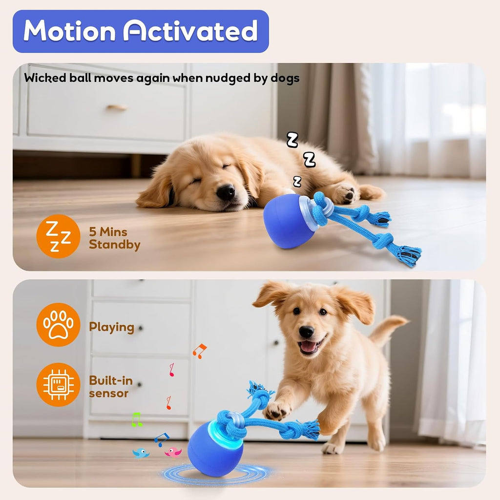 Interactive Dog Toys Bouncing & Jumping Dog Ball