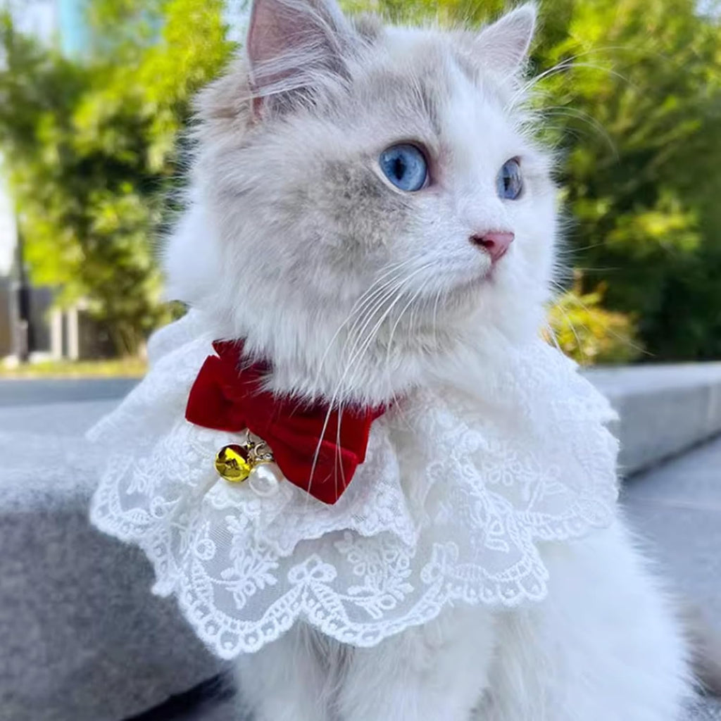HEEPDD Cat Lace Bib Collar with Bow, Decorative Pet Bandana Scarf Costume, Small Size, Dress Up Accessories