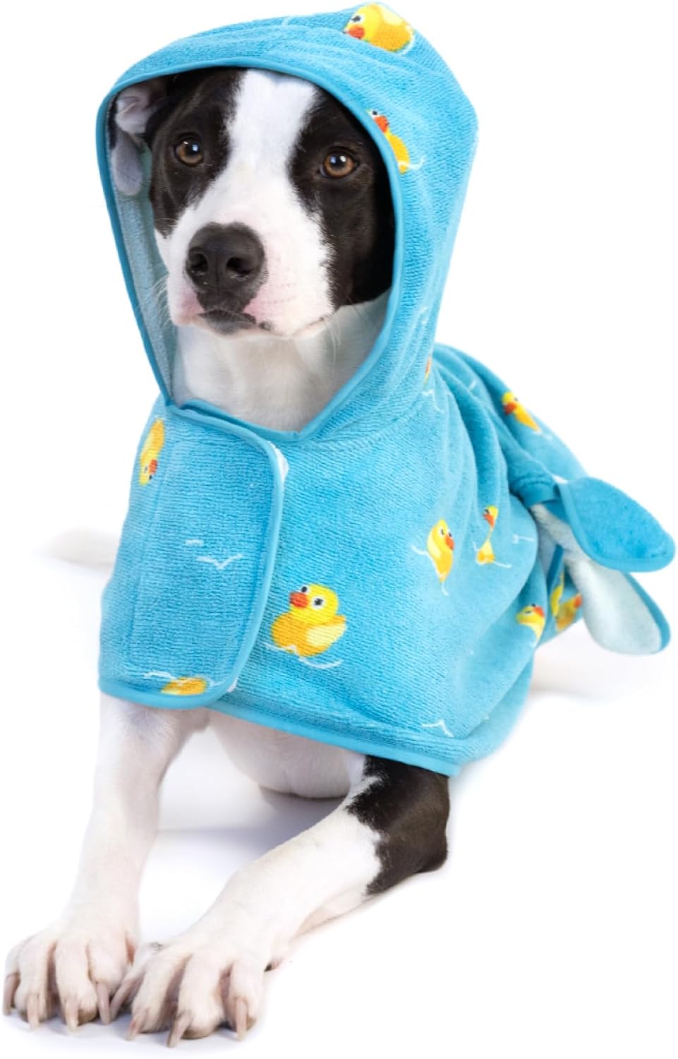 BARKBOX Dog Bathrobe - for Dogs - Medium