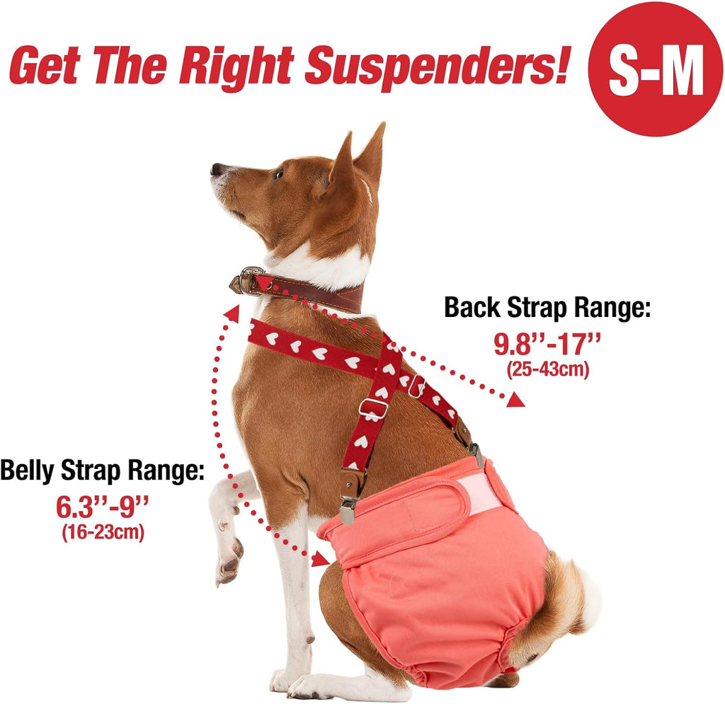 Pet Soft Dog Suspenders 2 Pieces Female Dog Diaper Suspenders for Dogs Diaper Keeper Suspender for Dogs Skirt, Dress, Diapers (Cute Hearts, S/M)