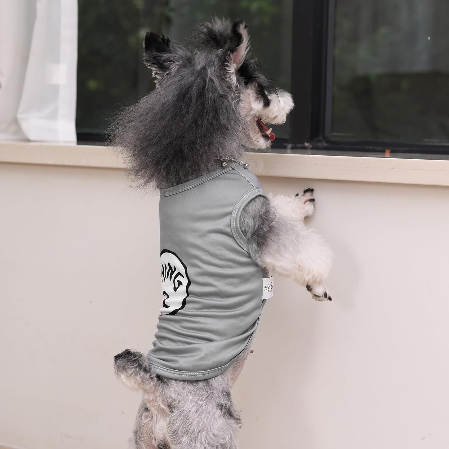 CuteBone Dog Shirts 2-Pack Soft Pet Clothes Breathable Summer Vest for Small Puppy and Stretchy Cat Apparel