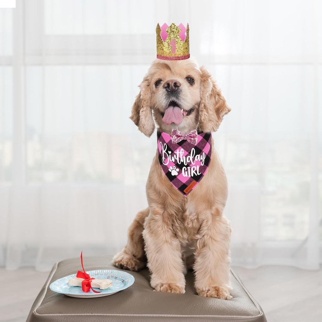 ADOGGYGO Dog Birthday Hat, Pink Plaid Birthday Dog Bandana Set, Small