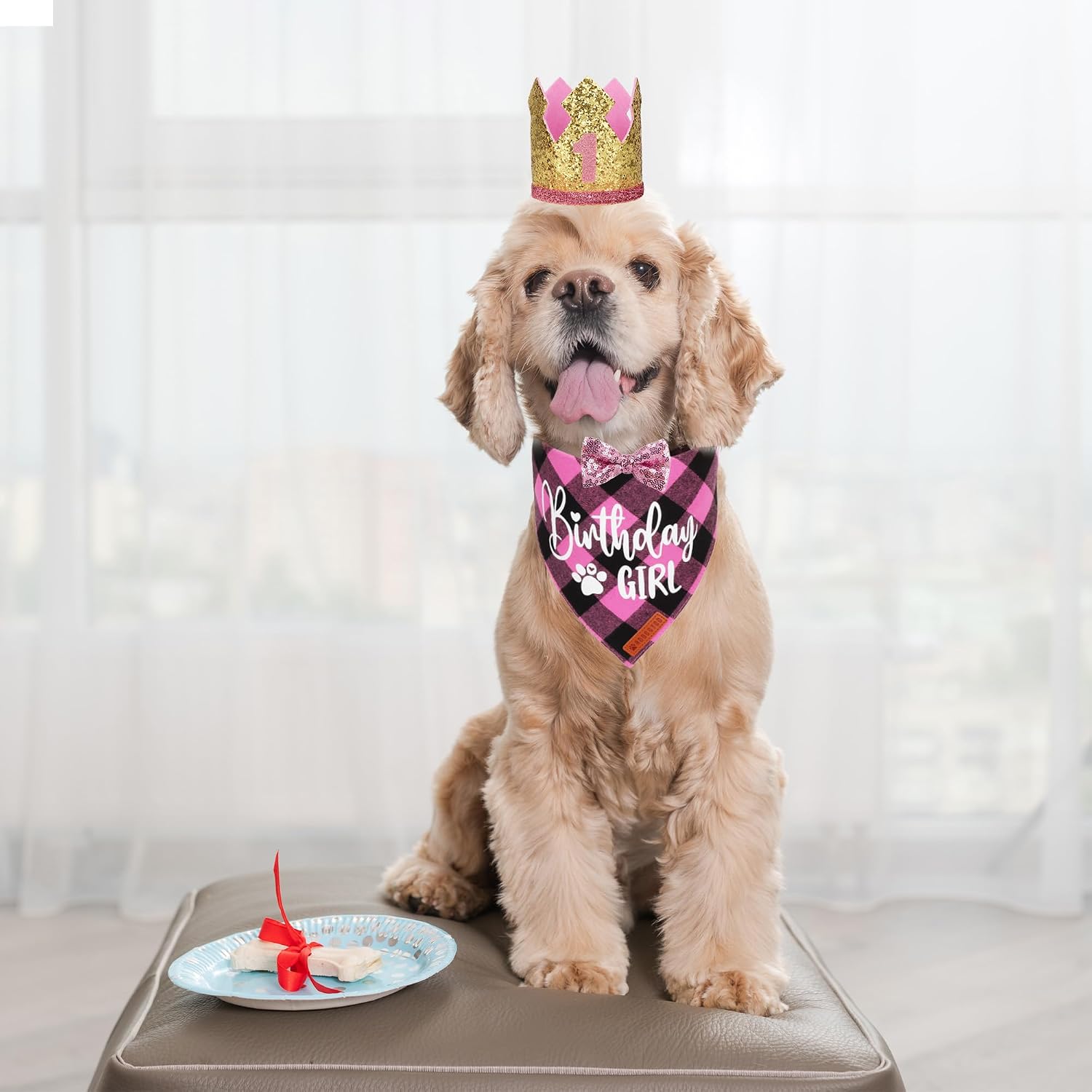 ADOGGYGO Dog Birthday Hat, Pink Plaid Birthday Dog Bandana Set, Small