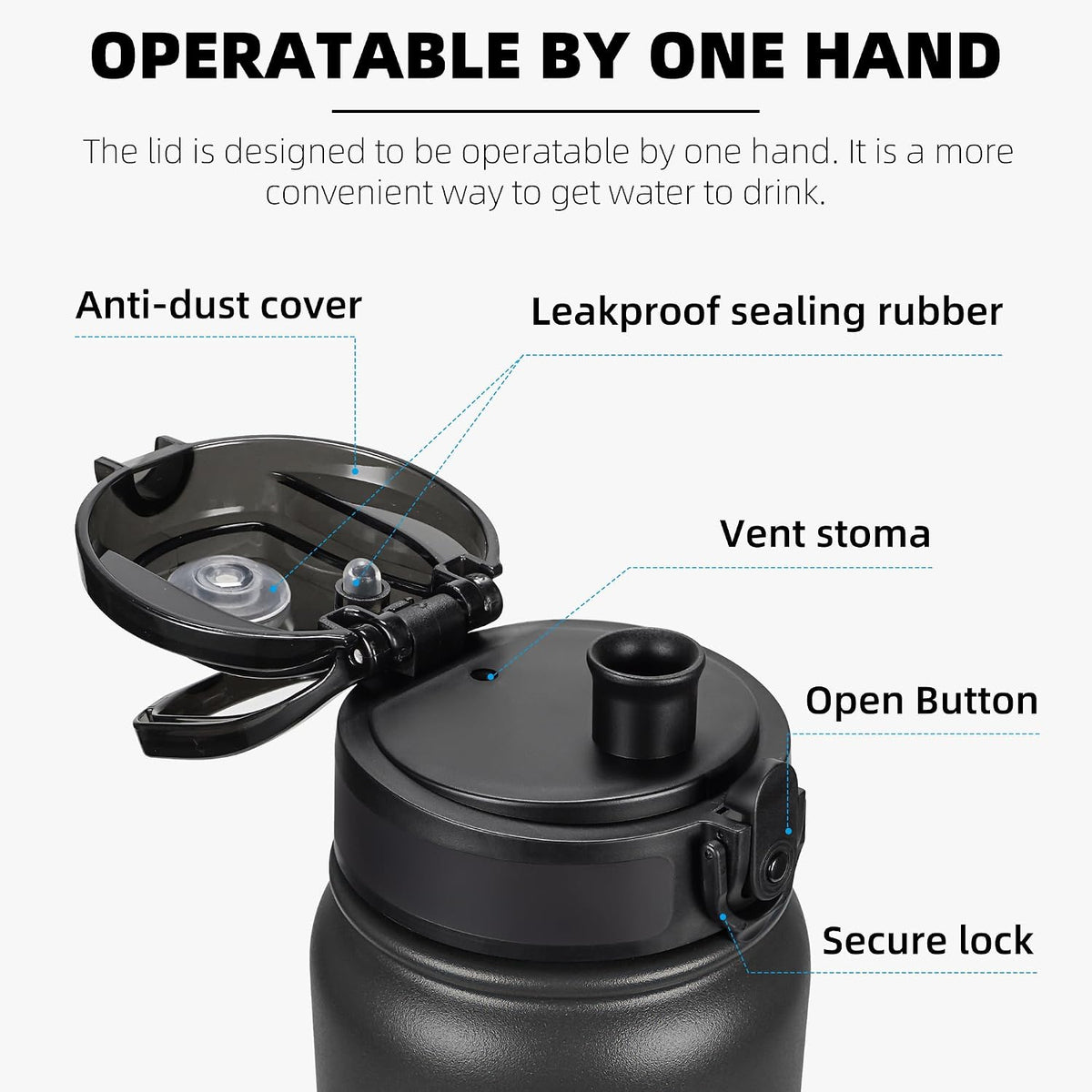 Fanhaw 20oz Insulated Water Bottle with Anti-dust Chug Lid, Black