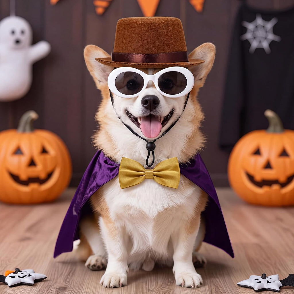 Reginary 3 Pcs Halloween Pet Costume Brown Top Hat Retro Glasses and Bow Tie for Dog Cat Retro Pets Cosplay Accessories Chocolate Sweet Candy Movie Character Dress up for Halloween Party