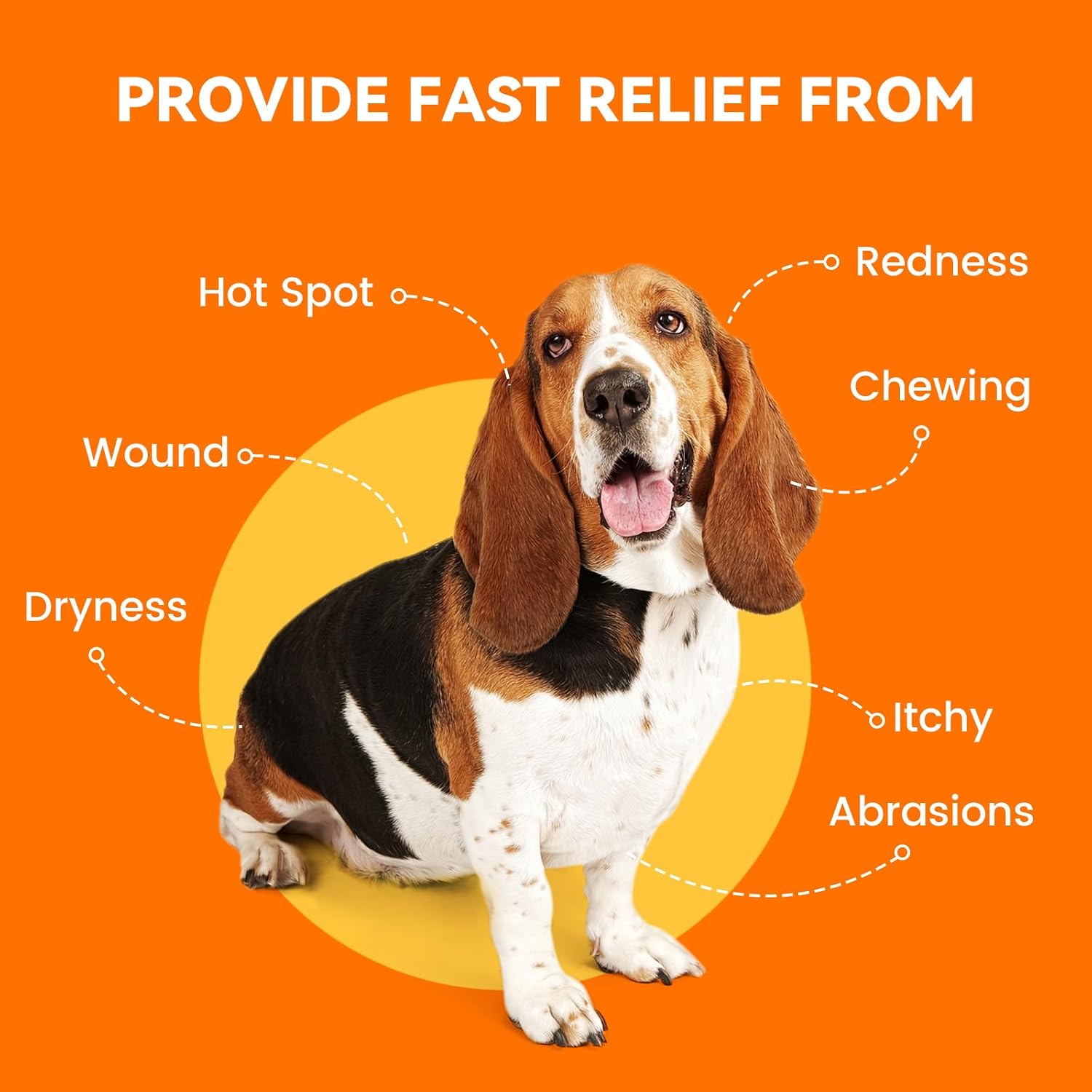 PUAINTA Dog Hot Spot Spray for Itch Relief - Quantum Silver Pet Skin Care