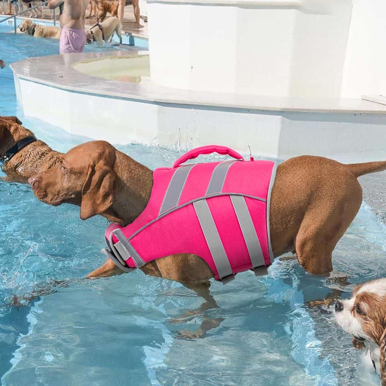 Kuoser Reflective Dog Life Jacket, Dog Life Vest for Swimming Boating