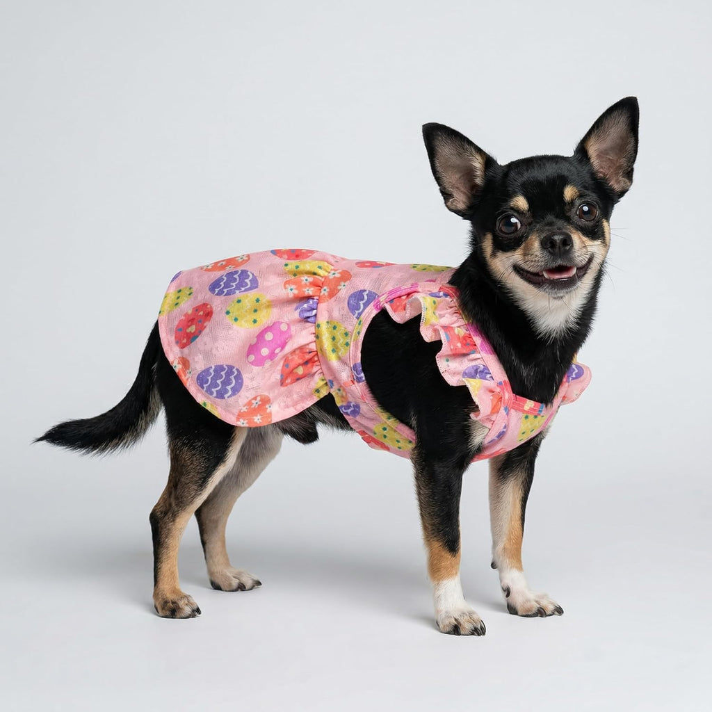 Fitwarm Easter Egg Dog Dress, Holiday Dog Clothes for Small Dogs Girl, Pet Easter Outfit, Pink, Yellow, Purple, Medium