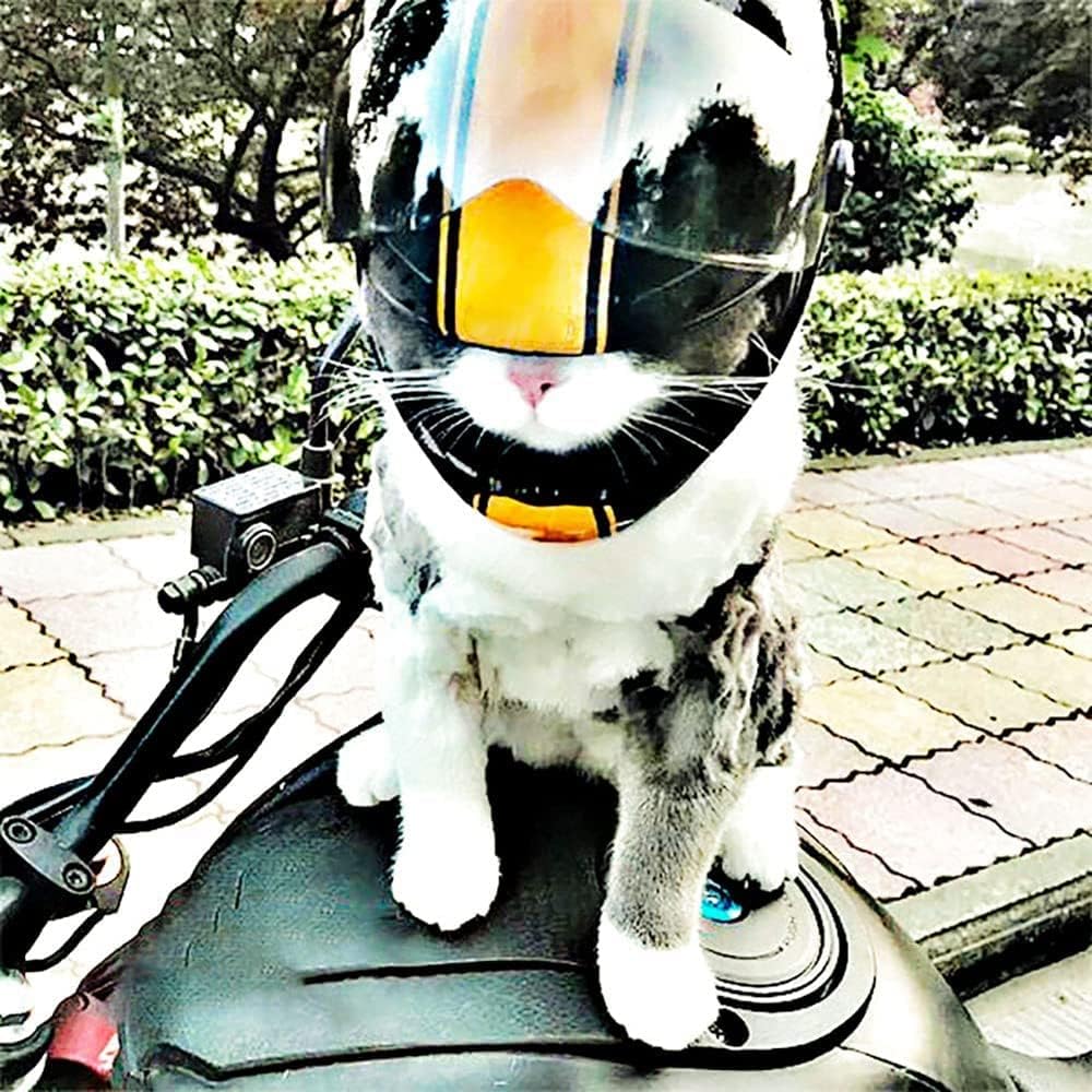 Pet Safety - Cat & Dogs Motorcycle Helmet - Full Face, Bike Riding & Outdoor (Black)