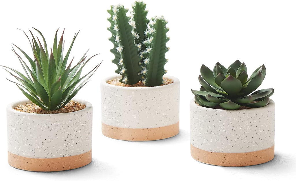 Artificial Succulent Plants in Ceramic Pots Set of 3