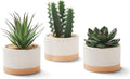 Artificial Succulent Plants in Ceramic Pots Set of 3
