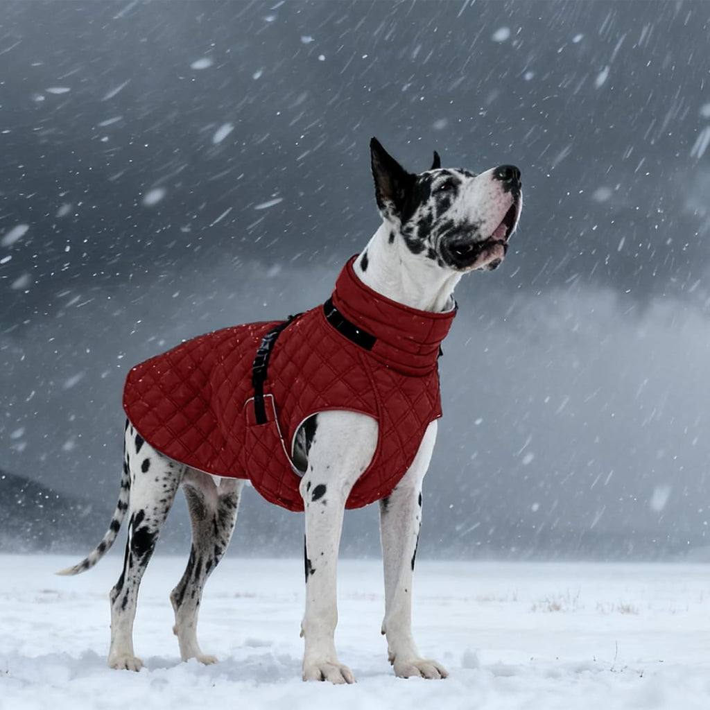 Kuoser Dog Coat Warm Fleece Lining Turtleneck Dog Jacket with Harness Built-in, Adjustable Windproof Cold Weather Coats with Quick Release Buckle Pet Winter Snowsuit for Medium Large Dogs, Red L