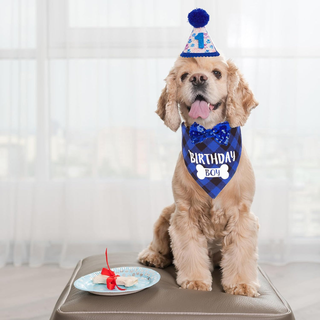 ADOGGYGO Dog Birthday Hat, Blue Plaid Birthday Boy Bandana Set, Small