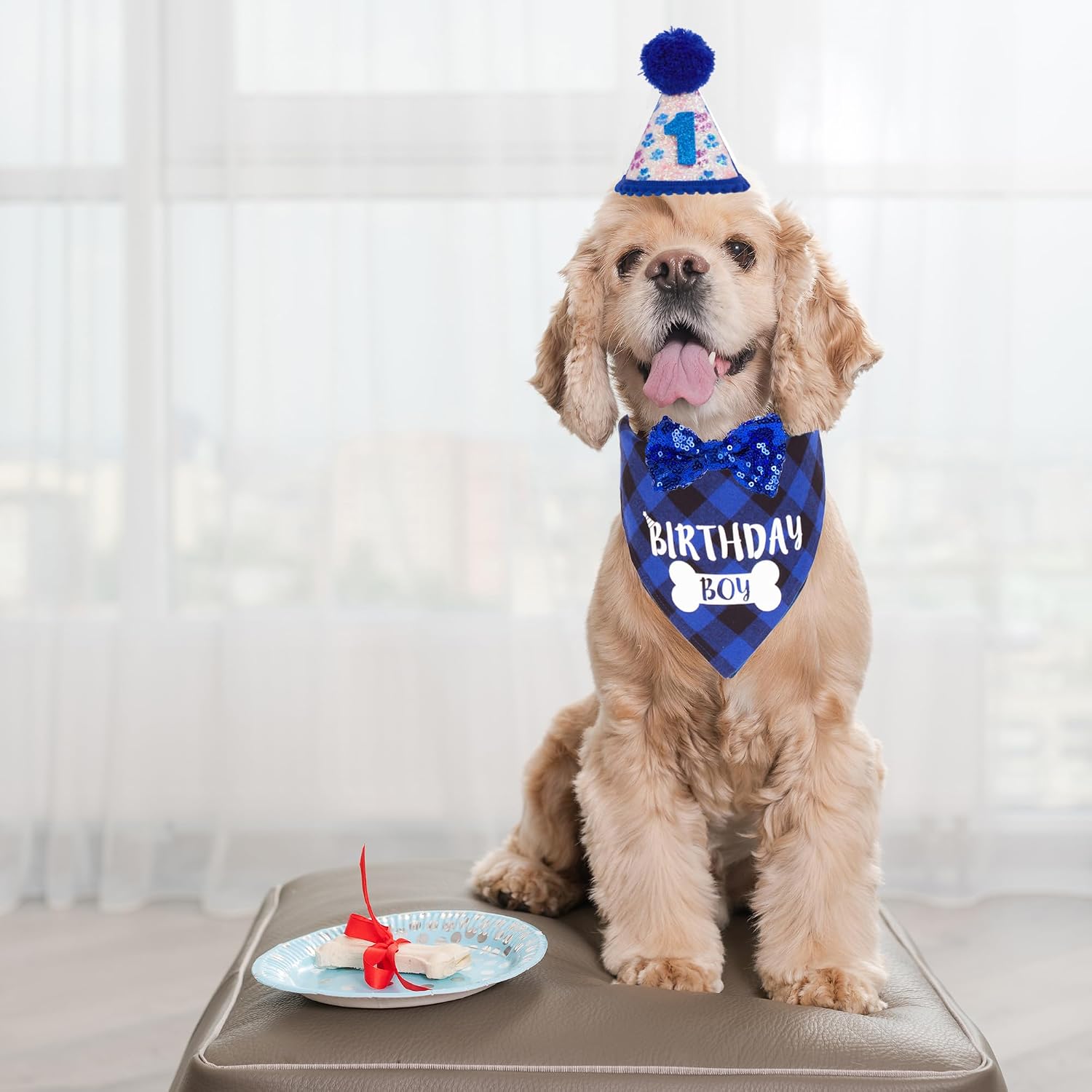 ADOGGYGO Dog Birthday Hat, Blue Plaid Birthday Boy Bandana Set, Small