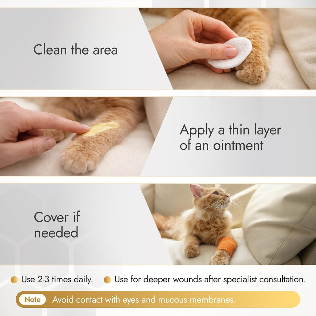 Manuka Honey Ointment 500+ MGO – Dog Hot Spot Treatment for Scratches, Burns, Irritations – Cat Wound Care with 55-PPM Colloidal Silver for Dogs – Manuka + Silver Healing Ointment in a 2-oz Tube