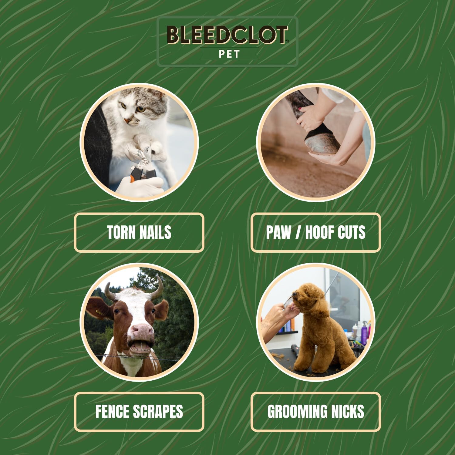 First Aid Blood Clotting Powder | The Best for All Animals to Stop Bleeding, Guaranteed | for Minor Cuts and Severe Arterial Bleeding | from The Makers of BleedStop (4 Pouches (0.5 oz))