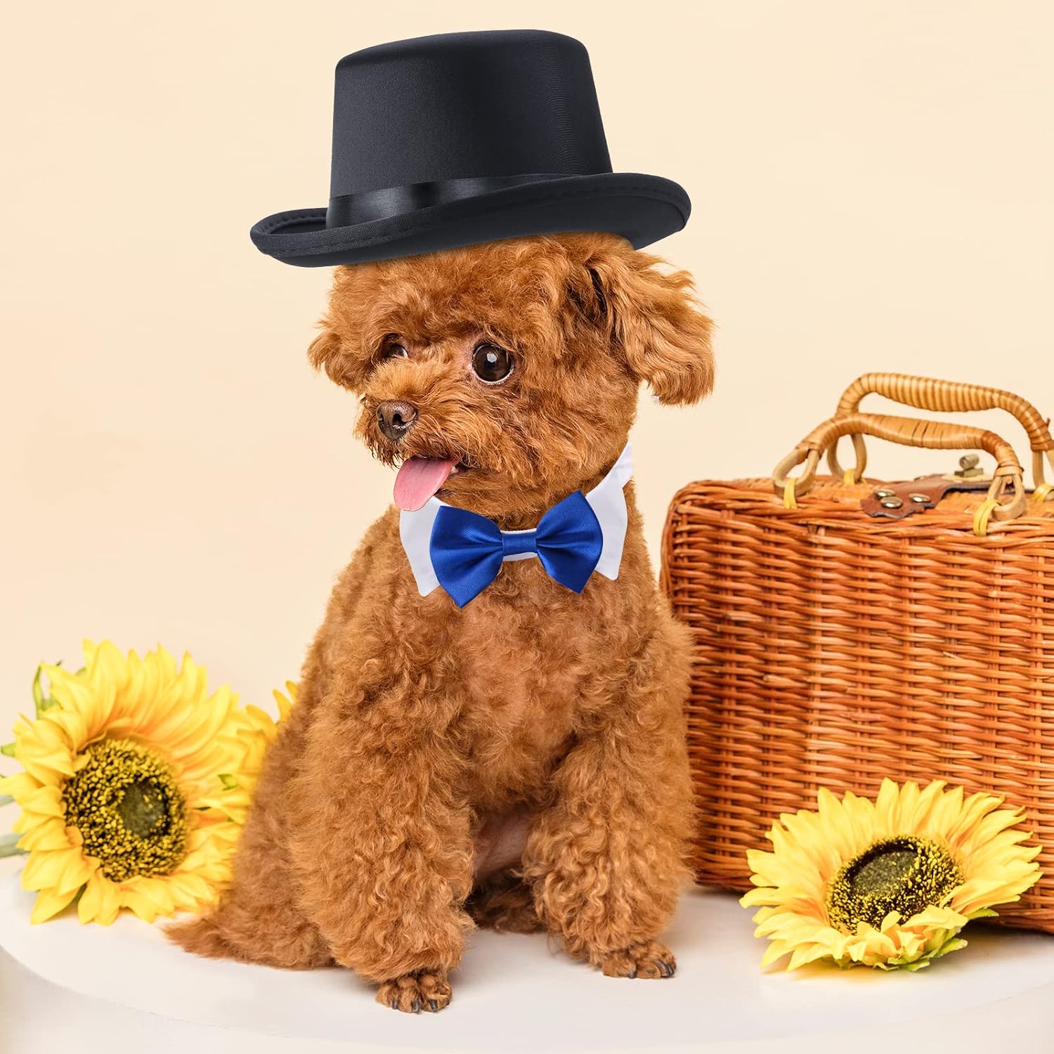 Yewong 2-Piece Pet Formal Accessories Set - Top Hat with Formal Necktie/Bowtie for Dog & Cat (Blue Bowtie Collar) - One Size