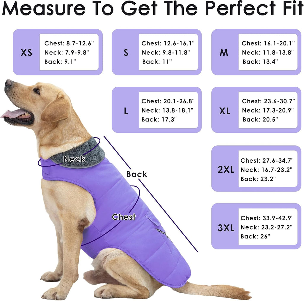 Petglad Dog Coat, Waterproof Dog Winter Jacket with Pocket, Reflective Adjustable Pet Snow Vest, Warm Cozy Fleece Sweater for Small Medium Extra Large Dogs - Light Purple, XS