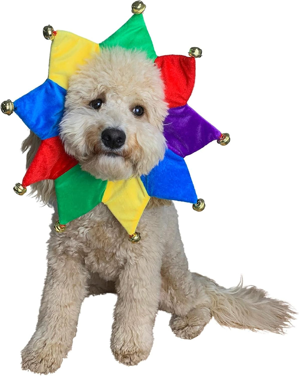 ComfyCamper Dog Jester Clown Neckpiece Cute Outfit Halloween Costume, L