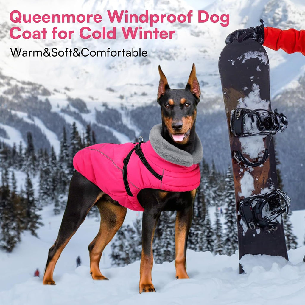 Queenmore Small Dog Coat, Dog Coat for Small Dogs with Harness Built in