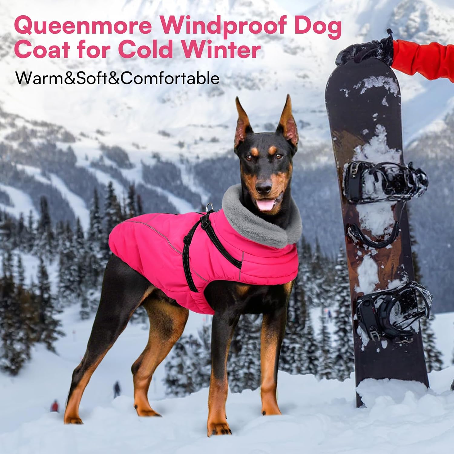 Queenmore Small Dog Coat, Dog Coat for Small Dogs with Harness Built in